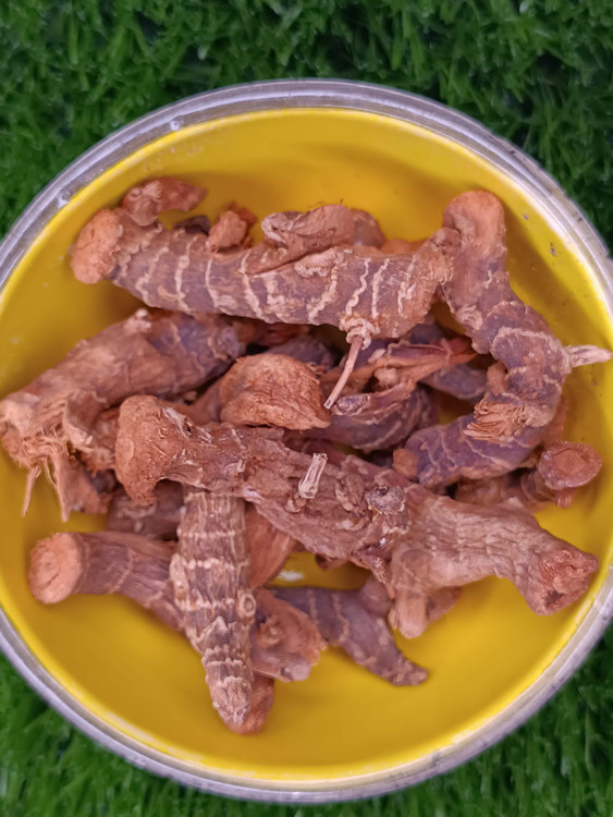 ارسال سریع قولنجان تند و معطر – انرژیزا و تقویتکننده معده برشهای قولنجان خشک – ادویه شرقی برای غذا و دمنوش