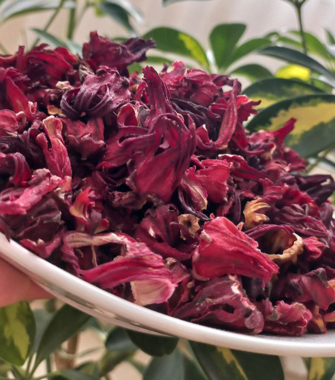 چای ترش ایرانی با رنگ قرمز مخملی ❤️ خشکشده باکیفیت، بدون خاک و ناخالصی. مناسب دمنوش سرد و گرم، لاغری، فشارخون و تقویت قلب. ارسال سریع از عطاری اقیانوس.