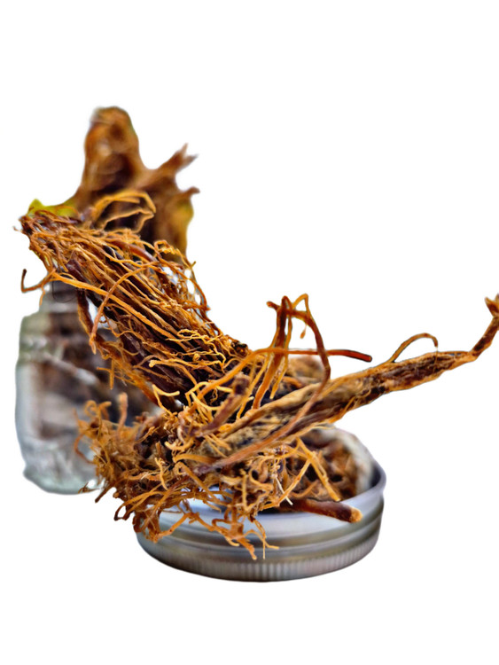 جنسینگ قرمز خشک شده برای افزایش انرژی با ارسال فوری