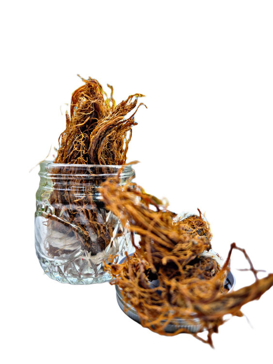 ارسال سریع ریشه جنسینگ قرمز مناسب تقویت حافظه و سیستم ایمنی