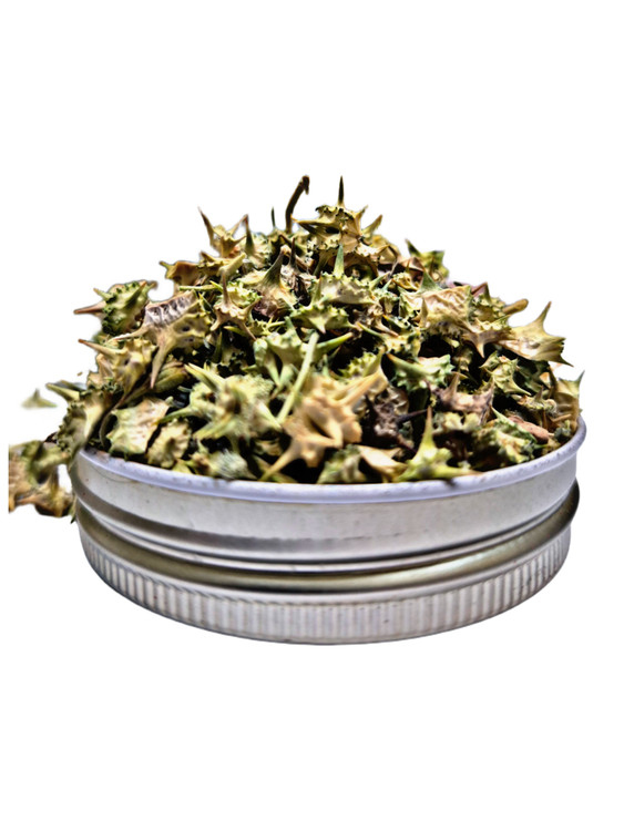 «خارخاسک تازه و تمیز عطاری اقیانوس برای افزایش انرژی و کاهش خستگی»