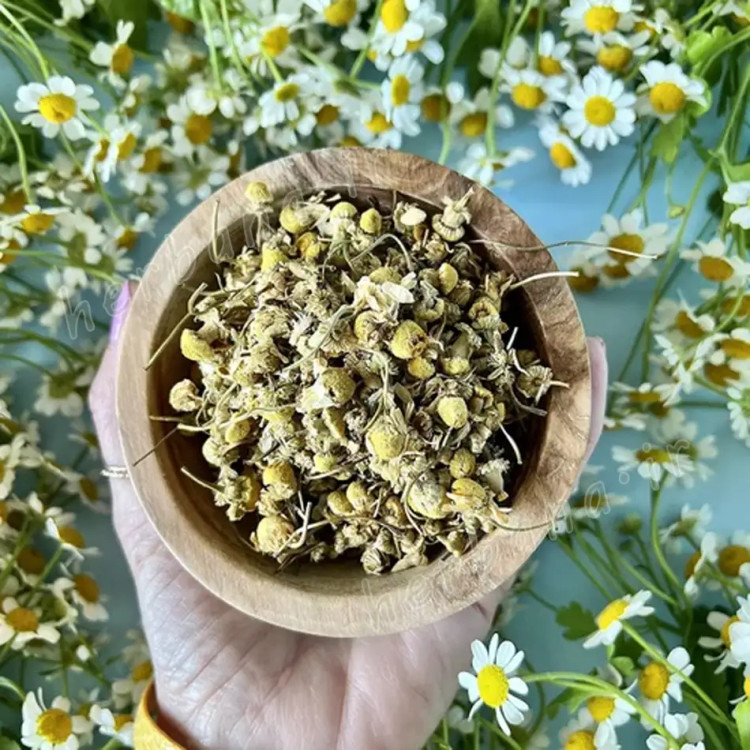 «ارسال فوری گل بابونه خشک معطر و طبیعی عطاری اقیانوس 🌼 – مناسب برای دمنوش، ماسک صورت و آرامش اعصاب، محصول خالص و ارگانیک ایرانی»