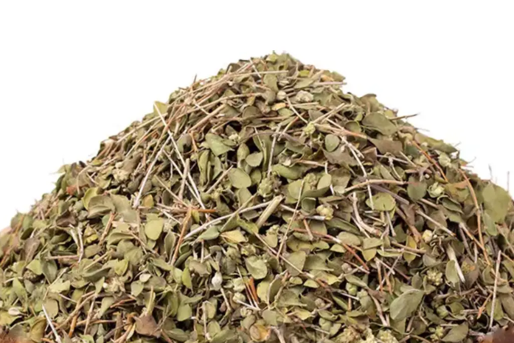 50 گرم برگ شیرازی با کیفیت اعلا و درجه یک
