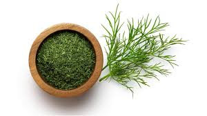 «شوید خشک سبز و تازه عطاری اقیانوس – سبزی خشک معطر و طبیعی برای غذا و ترشی با ارسال فوری🌿»