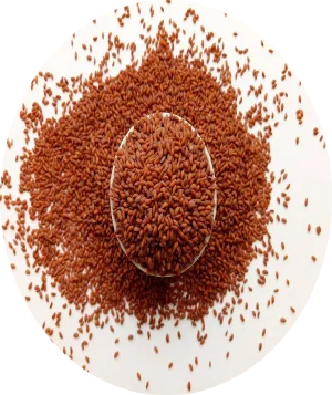 بستهبندی تخم شاهی باکیفیت – چربیسوز طبیعی و تنظیمکننده هضم