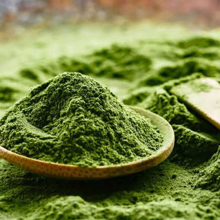 پودر مورد سبز تازه 🌿✨ مناسب ماسک مو و تقویت ریشه با ارسال فوری