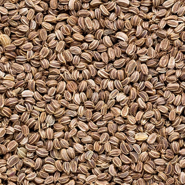 ارسال سریع بسته تخم کرفس اعلا – چربیسوز و سمزدا