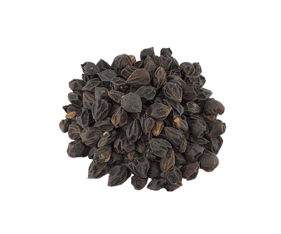 میوه سپستان – نرمکننده سینه و گلو با لعاب طبیعی باارسال رایگان