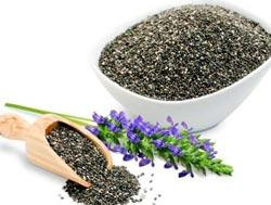 «چهارتخم درجهیک با لعابدهی بالا؛ مناسب معجونهای گیاهی سرماخوردگی.»