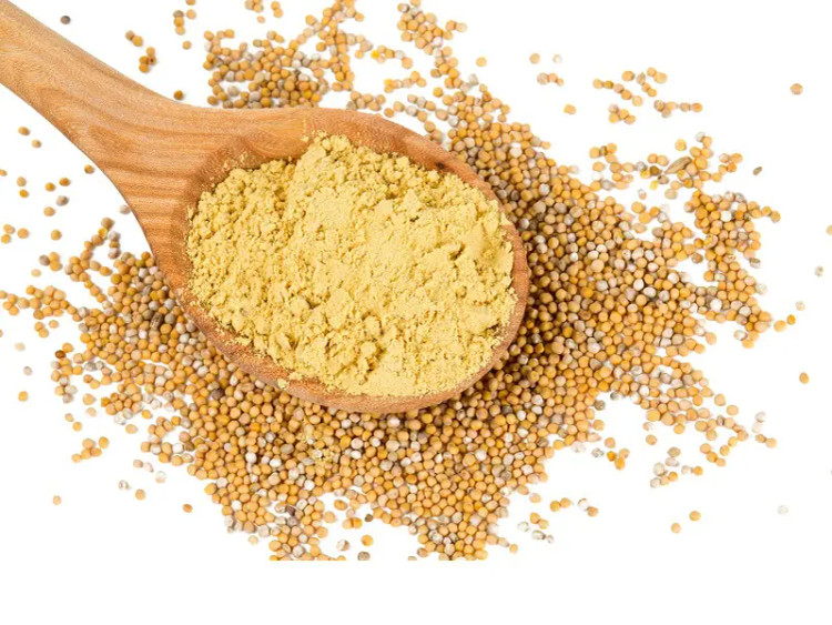 بسته پودر خردل با رنگ زرد مات و طعم تند طبیعی برای آشپزی حرفهای 👨🍳🔥